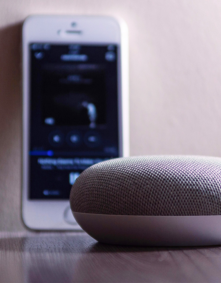 Smart speaker and phone