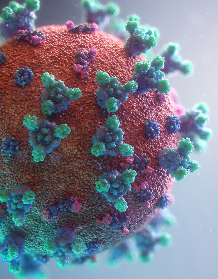 Image of a red virus with purple and green spike glycoprotiens sticking out